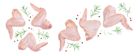 Raw chicken wings isolated on white background with full depth of field. Top view. Flat layの写真素材