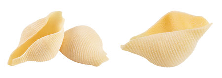 Conchiglioni italian pasta isolated on white background with full depth of fieldの写真素材