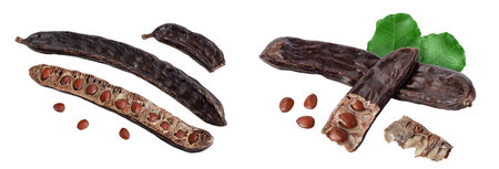 Ripe carob pods and bean isolated on white background with full depth of fieldの写真素材