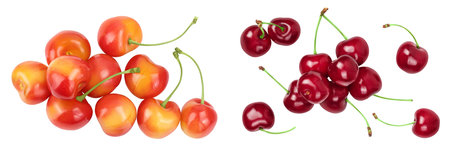 yellow-red sweet cherry isolated on white background. Top view. Flat layの写真素材