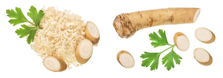 Horseradish root with slices grated pile and parsley isolated on white background. Top view. Flat lay.の写真素材