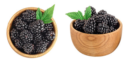 blackberry in bowl with leaf isolated on a white background closeup