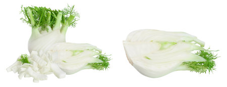 fresh fennel bulb half isolated on white background with  full depth of fieldの写真素材