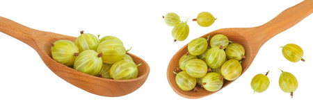 Green gooseberry in a wooden spoon isolated on white background . Top view. Flat lay.の写真素材