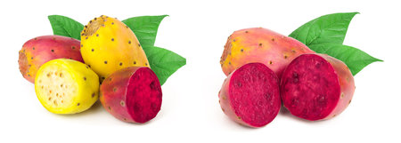 yellow and red prickly pear or opuntia isolated on a white backgroundの写真素材