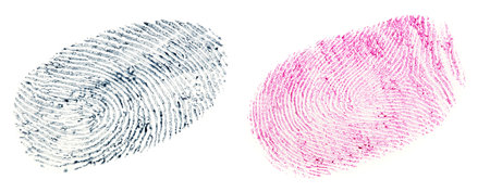 black fingerprint pattern isolated on white backgroundの写真素材