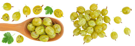 Green gooseberry isolated on white background with copy space for your text. Top view. Flat lay.の写真素材