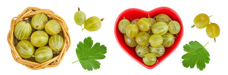 Green gooseberry in a wicker basket and ceramic bowl isolated on white background. Top view. Flat layの写真素材