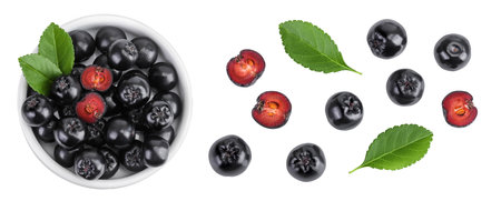 Chokeberry with leaf in a ceramic bowl isolated on white background. Black aronia. Top view. Flat layの写真素材
