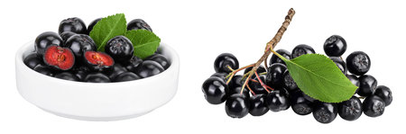 Chokeberry in ceramic bowl isolated on white background. Black aronia.の写真素材