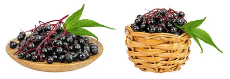 Ripe black elderberry or elder with green leaves in wooden bowl isolated on a white background....