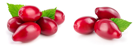 Red berries of cornel or dogwood with leaf isolated on white background