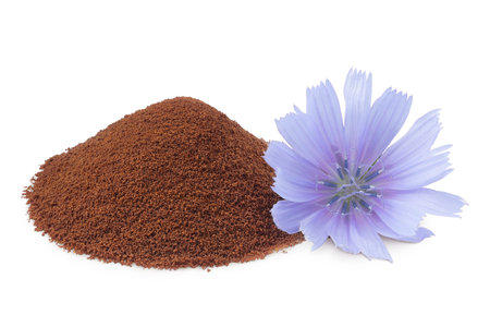 Chicory powder and flower isolated on white background. Cichorium intybus.の写真素材