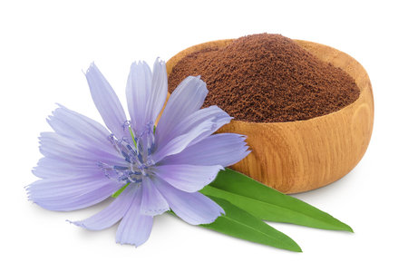 Chicory powder in wooden bowl and flower isolated on white background. Cichorium intybus.の写真素材