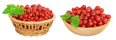 Red currant berries in a wicker basket and wooden bowl isolated on white backgroundの写真素材