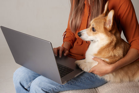 A young woman works at home on a laptop next to her dog. Domestic corgi dog looking at laptop, love for animalsの写真素材