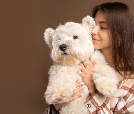 portrait of a girl with a white dog West Highland White Terrier on a brown backgroundの写真素材
