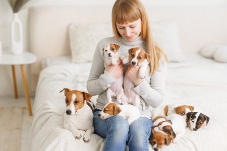 Young woman with her Jack Russell Terriers at home.