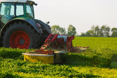 tractor harvesting hay for animals against the background of a field in the warm rays of the sun, agribusiness conceptの写真素材