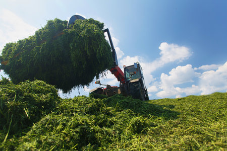 tractor harvesting hay for animals, tractor harvesting green grass for feed, agribusiness concept, animal feedの写真素材