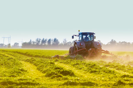 hay making for animals, harvesting green grass for feed with a tractor, agribusiness concept, animal feedの写真素材