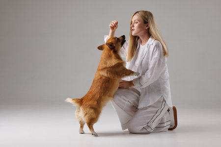 woman training welsh corgi pembroke on isolated white background, dog education and training conceptの写真素材