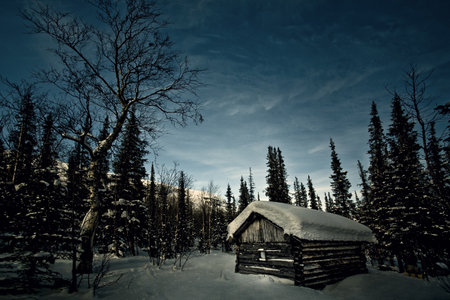 A snow-covered wooden cabin in a dense forest during winter, surrounded by tall pine trees under a cloudy sky.の写真素材