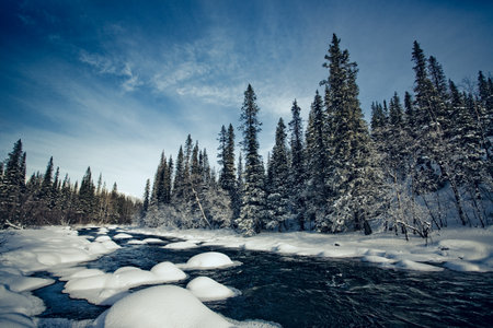beautiful arctic winter landscape with snowy forest and frozen lake, very cold climate,の写真素材