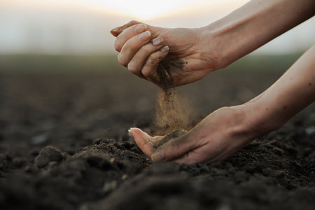 Close-up of hands sifting dry soil on farmland at sunrise, symbolizing earth, agriculture, and preparation for planting.の写真素材