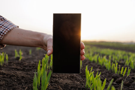 Hand holding smartphone with blank screen in young green crop field at sunrise, modern smart farming concept.の写真素材