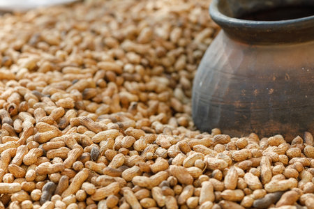 Close up of organic peanuts in shell with rustic pottery representing farm harvest and traditional...