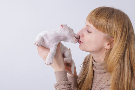 Woman kissing puppy shows love for animals, pet care, affection, gentle bonding and joyful emotions in a cozy home.の写真素材