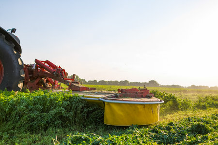 Modern machinery harvesting clover for nutritious animal feed, highlighting sustainable farming and livestock nutritionの写真素材