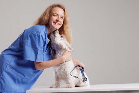 Veterinarian hugging happy dog during health checkup in clinic, care and love for pets, professional...
