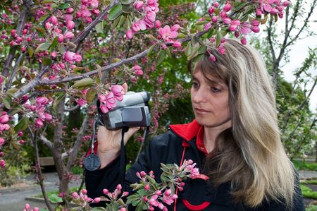 Botanical Garden. The girl is shooting  blossoming  apple-tree.の写真素材