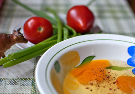 Eggs  tomatoes, green onions and omelet on the plate, cookingの写真素材