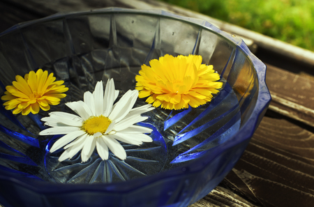 Flowers floating in blue bowl, flowers for spaの写真素材