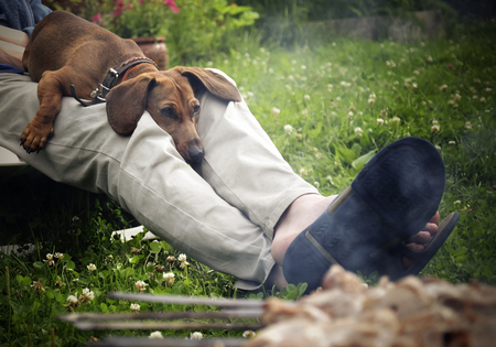 Dog resting on the lap of the owner near the grill with meatの写真素材