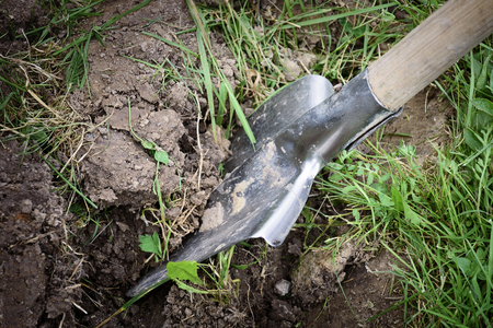 Soil with shovel in gardenの写真素材