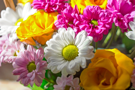 flowers texture Roses, flower, pink, daisy, pattern, wallpaper, bunch of flowers, yellow flowersの写真素材