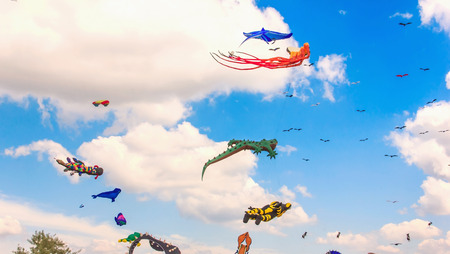 Bright kites floating in the blue sky, kite festivalの写真素材