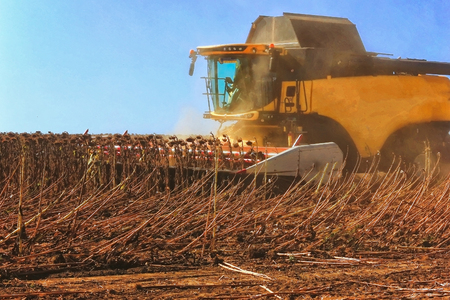 combine harvester working in action on the field. Agriculture. Cultivated area. The concept of...