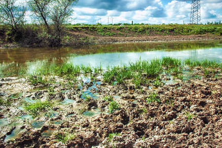 Spring landscape swamp, swamp on the river. The spring swamp. marsh landscape, swamp forest with stagnant waterの写真素材