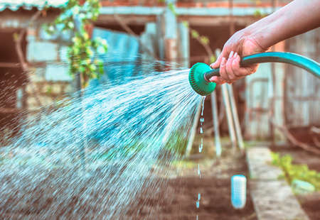 watering plants and flowers in the garden in the spring, spring and summer garden, housework. Toned photoの写真素材