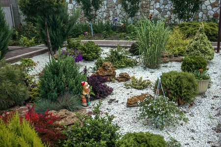 Blooming flower bed with conifers and other ornamental plants in a country house