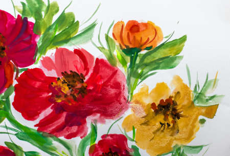 Watercolor painting of red and yellow poppies on white paperの写真素材
