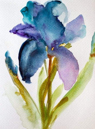 Iris flower hand-painted in watercolor. watercolor botanical illustration. Trendy Color of the Year
