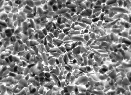 bacteria or cells under a microscope. Multiplication of bacteria or infection. Scientific...