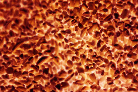 bacteria or cells under a microscope. Multiplication of bacteria or infection. Scientific experience. attacking cells - Imageの写真素材