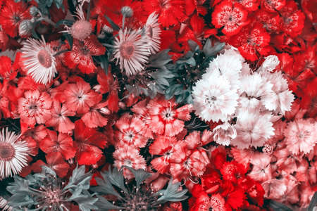 abstract background of bright wild flowers, colorful flowers background. Flower arrangement, bouquet of flowers. For background and wallpaper, for poster and printの写真素材